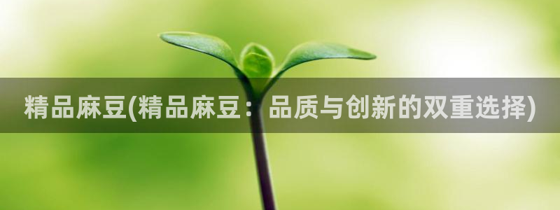 麻豆国产av专区：精品麻豆(精品麻豆：品质与创新的双重选择)