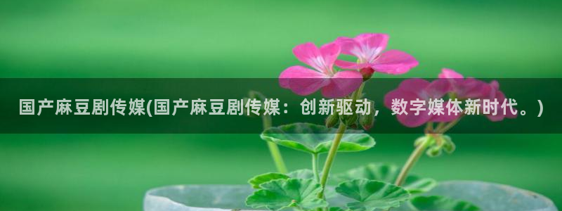 日韩中文麻豆专区