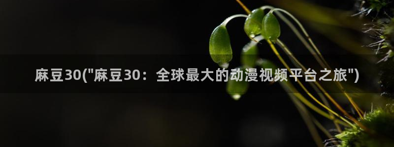 日韩中文麻豆专区