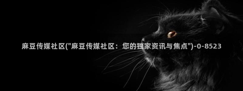 麻豆专区一：麻豆传媒社区(\