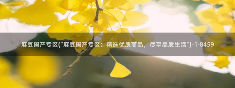 中文麻豆专区：麻豆国产专区(\