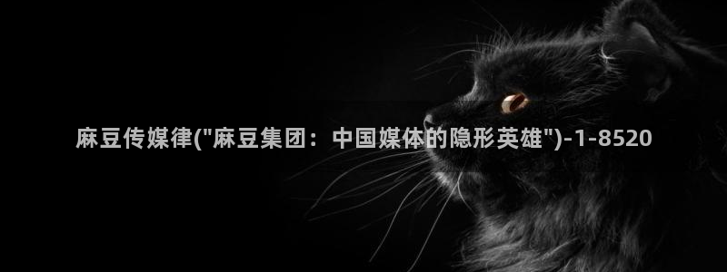 麻豆专区二：麻豆传媒律(\