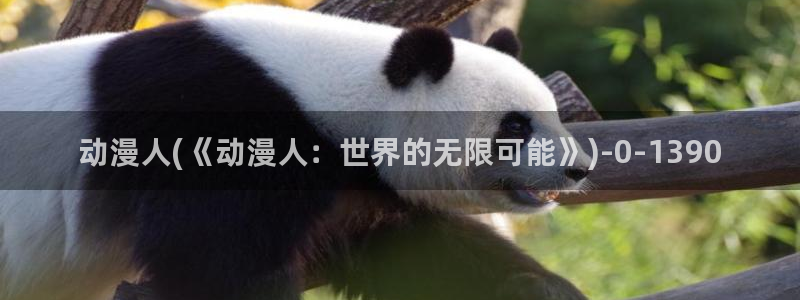 爱动漫网