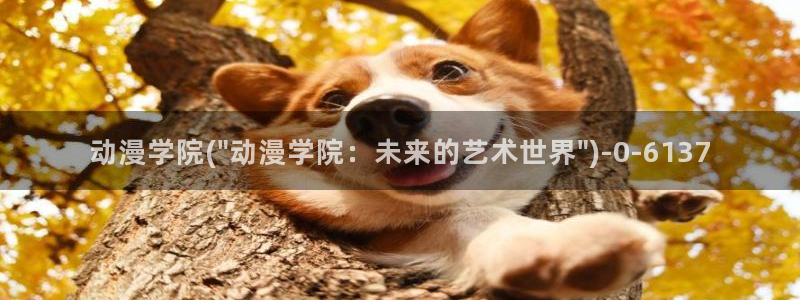 高分动漫