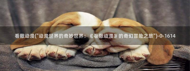 夏洛特动漫