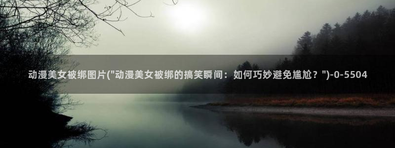h动漫