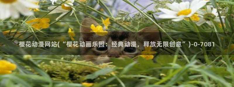缘之空动漫