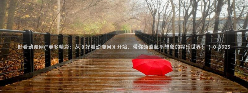 第一动漫