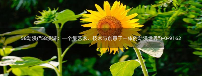 艳母动漫在线观看
